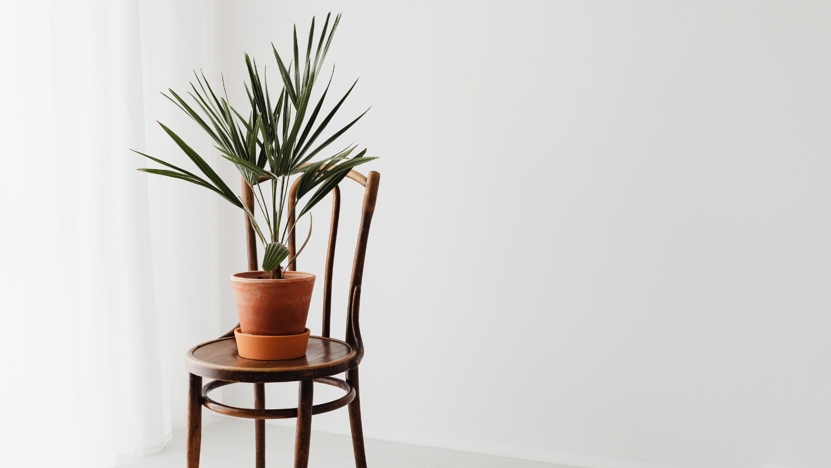how to change your way of thinking when you think you should