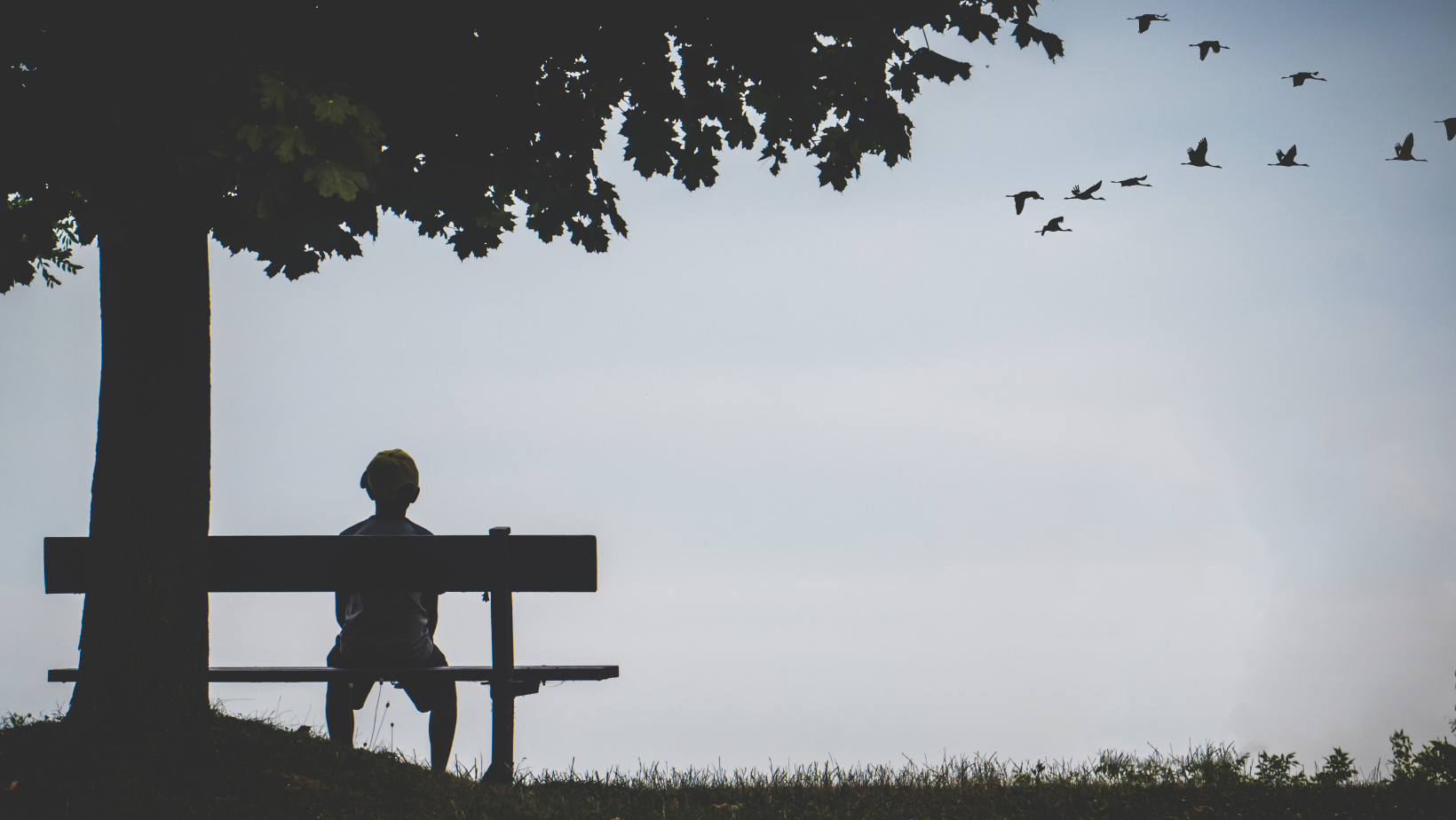 how to find joy in the small things