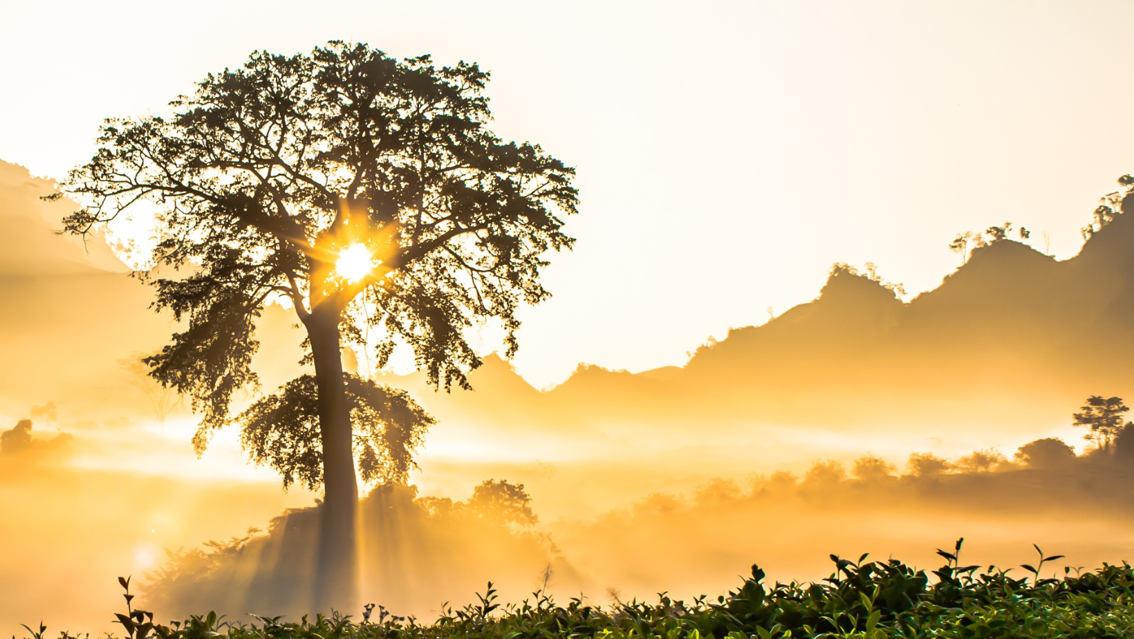 shifting your energy for positive
