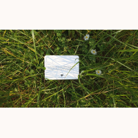 Connect to Nature Notes
