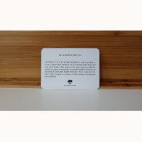 Connect to Nature Notes