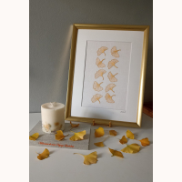 The Dance of the Autumn Gold Leaves